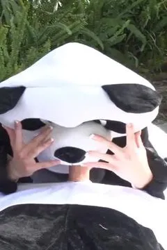 拯救猫熊大作战1