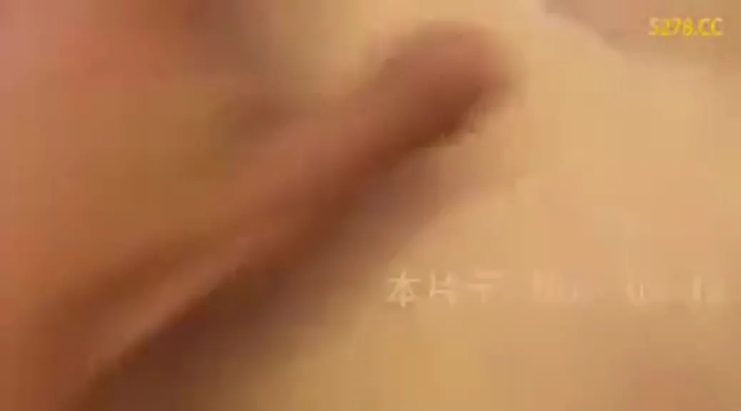 [台湾] 兄弟象迷-苏XX01