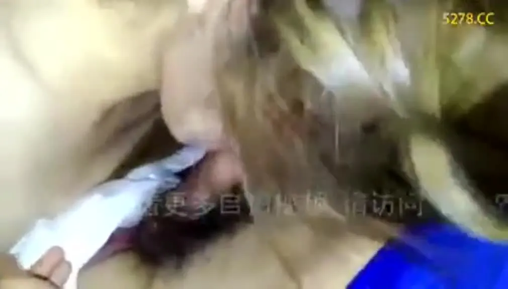 [台湾] 兄弟象迷-苏XX04