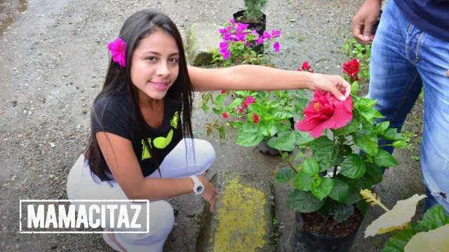 Amateur, Carne Del Mercado, Carne Del Mercado, amateur